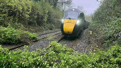 A train with foliage in fromt of it and banks either sideof foliage.