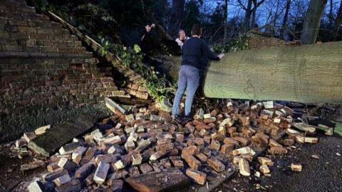 Three people are standing around the fallen tree, inspecting the damage, with bricks from the damaged wall all around.