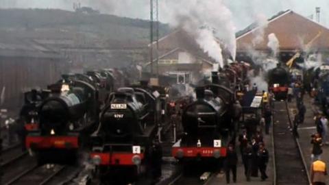 Five steam trains at Shildon