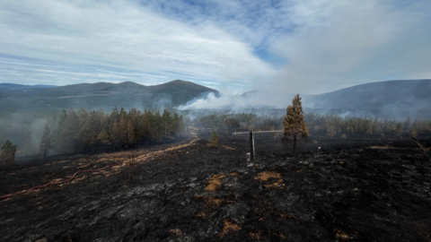 Scorched earth after a wildfire in the Cairngorm National Park with pine trees, billowing smoke and mountains in the background.