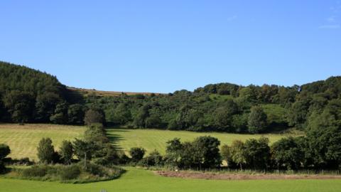 The Crossags Coppice near Ramsey