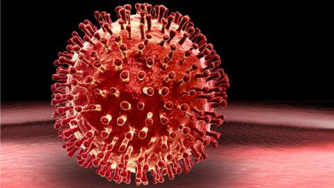 Virus