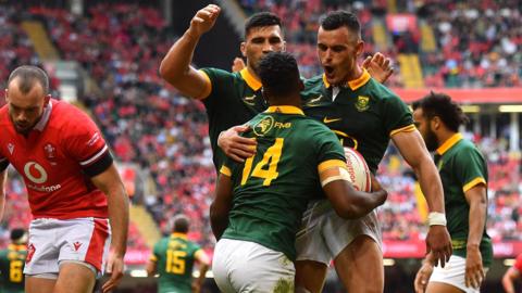 South Africa celebrate against Wales