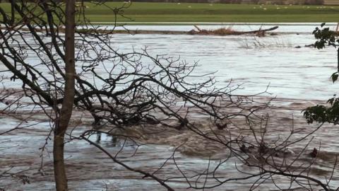 Swollen river water racing by viewed through branches of tree hanging over the river bank