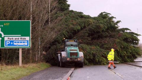 Very large fallen tree blocking entire road, digger pictured in front of it with man in hi viz holding a chainsaw