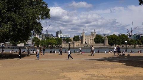 Dried out grass by the River Thames during a heat wave near the Tower of London.