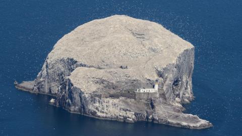A large island rock with a lighthouse to the front, covered in white birds.