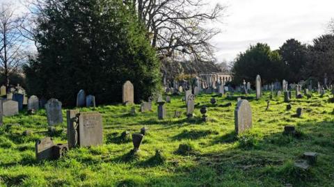 Cemetery stock