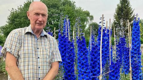 A man in a chequered shirt stands next to several tall, cone-shaped plants with indigo flowers.