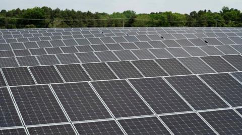 A photo of a solar farm. There are rows of panels with trees in the distance.