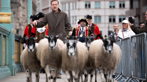 Hollywood actor Damian Lewis wears a grey coat as he shepherds sheep across southwark bridge. City of London freemen walk in the background as members of the public take images on mobile phones