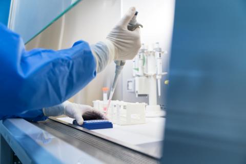 a gloved hand in a sterile-looking environment, holding a dropper over some laboratory equipment