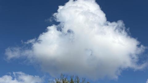 Cumulus cloud amid a blue sky 