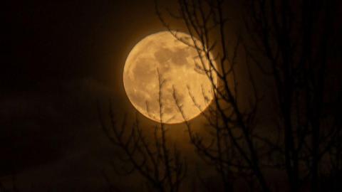 Worm moon in Alaska in 2025.