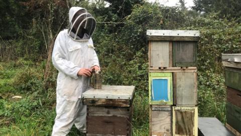 Matt uses smoke to confuse the bees and stop them attacking when he checks on his hives