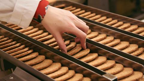 A hand selecting from a production line with four rows of fresh-baked biscuits.