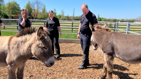 Police officers at a donkey sanctuary. The officers are dressed in black uniforms and are standing in a pen with two donkeys. A green field is in the background. The sky is blue.