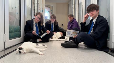 A white cate with black markings and no ears asleep on the floor. Three young teenagers surround him with books in their hands. A woman in a purple hoodie is in the far left