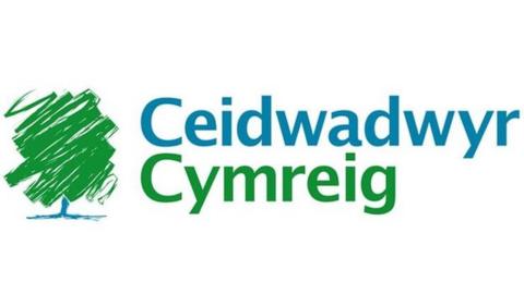 Ceidwadwyr Cymreig