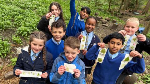 a-group-of-school-students-standing-in-a-woodland-holding-leaves