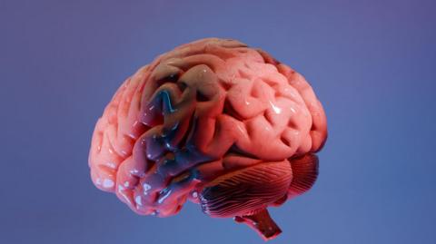 Minimalist 3D illustration of a human brain divided into contrasting blue and pink halves on a dark background. The visual represents the balance between logic and creativity, analytical thinking and imagination. Suitable for concepts related to neuroscience, brain training, artificial intelligence, cognitive science, innovation, and the future of human intelligence.