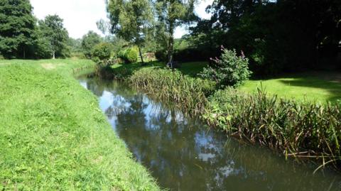 A quiet river bordered by green banks, with a flowering shrub on a tidy lawn beside the water.
