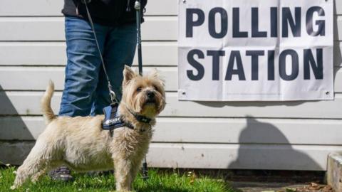A person is standing behind a dog on a lead. The dog is small and is a beige and white colour, on a building behind it there is a large white sign that reads "polling station" in black letters.