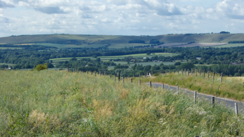 A green field with rolling hills in the background. There is a single track road running through the centre of the image. There are also lots of trees in the background.