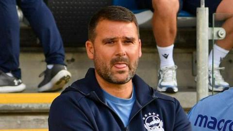 David Healy 