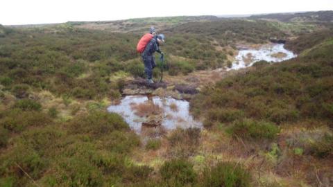 Volunteers working on peat dam pools