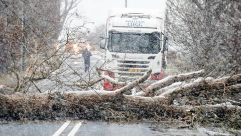 A fallen tree blocks the A702 near Coulter in South Lanarkshire