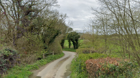 A countryside road with hedgerows and overhanging trees