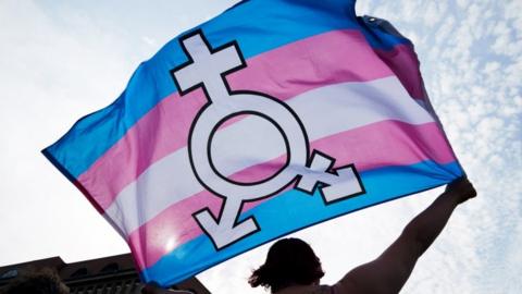 Trans and gender diverse flag