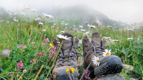 walking shoes in a field