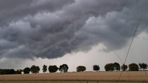 Dark clouds dominate this image as they hang low in the sky. A field with trees in the distance is covered in shadow.