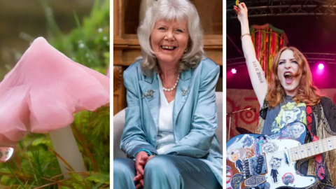 A collage of three images: on the left, a close-up of a pink mushroom with ruffled edges nestled in green moss; in the centre, an older woman with light-colored hair wearing a light blue suit and white shirt, seated and smiling; on the right, a woman with long hair performing on stage, holding a sticker-covered electric guitar and raising one arm while singing or speaking into a microphone.
