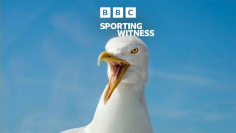 Sporting Witness: Goalie v Gull