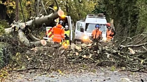 Tree down on Lezayre Road