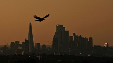 The London skyline at sunset, with a bird flying past, during a high air pollution alert in 2023