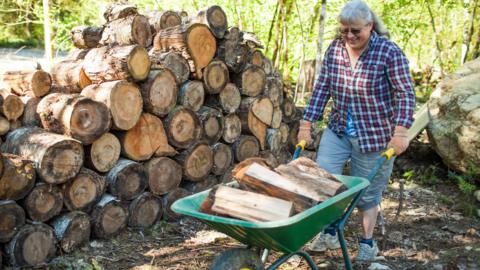 Mature woman carrying firewood in wheelbarrow - stock photo
