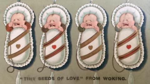 A postcard depicting four babies, each one in its own cot, with "tiny seeds of love" written across the bottom of the card
