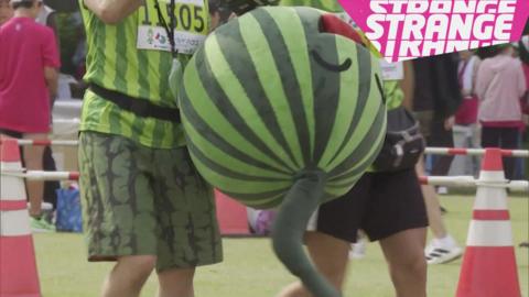 A large watermelon