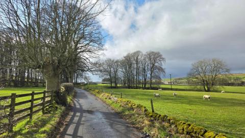 Country road flanked by green fields with cloudy skies
