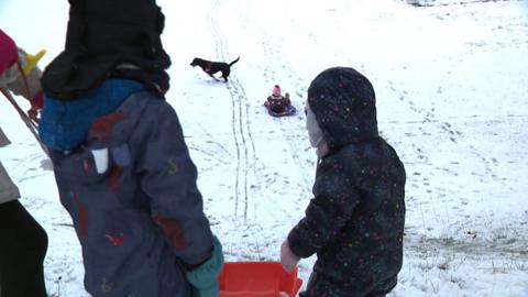 Sledging