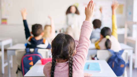 A girl with plaits and a pink jumper with her hand in the air in a classroom with white desks and less-distinct other children sat in front of her