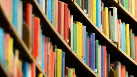 Books of all colours lined up on library shelves