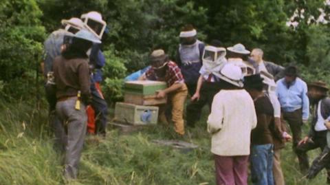 Group of people in protective clothing watching a beekeeper at work. 