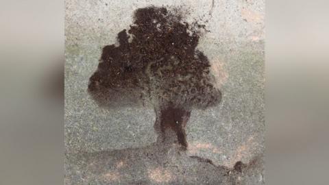 A black and brown marking in the shape of a tree on stone which looks like the Sycamore Gap tree.