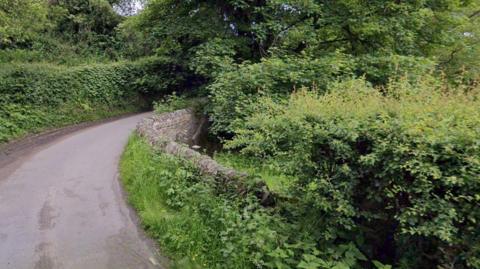 A stone bridge on a bend in a road, surrounded by thick vegetation.