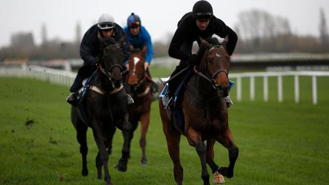 Nicky Henderson's horses